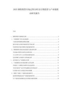 2025鋼鐵期貨市場走勢分析及長期投資與產(chǎn)業(yè)鏈聯(lián)動研究報告