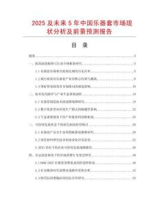2025及未來(lái)5年中國(guó)樂器套市場(chǎng)現(xiàn)狀分析及前景預(yù)測(cè)報(bào)告