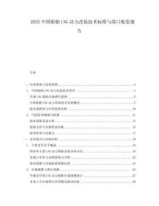 2025中國船舶LNG動力改裝技術標準與港口配套報告