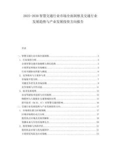 2025-2030智慧交通行業(yè)市場(chǎng)全面洞察及交通行業(yè)發(fā)展趨勢(shì)與產(chǎn)業(yè)發(fā)展投資方向報(bào)告