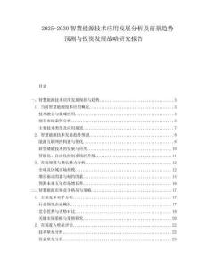 2025-2030智慧能源技術(shù)應(yīng)用發(fā)展分析及前景趨勢預(yù)測與投資發(fā)展戰(zhàn)略研究報告