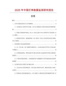 2025年中國燈串數據監測研究報告