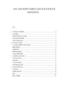2025-2030智慧停車場(chǎng)解決方案行業(yè)競(jìng)爭(zhēng)形勢(shì)分析發(fā)展前景研究