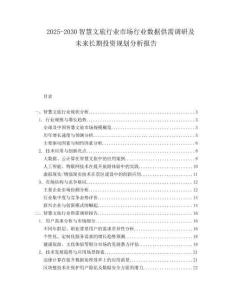 2025-2030智慧文旅行業市場行業數據供需調研及未來長期投資規劃分析報告