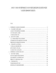 2025-2030智慧物流行業(yè)市場發(fā)展趨勢及投資風(fēng)險與投資策略研究報告