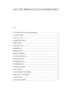 2025中國大數據技術應用與行業價值挖掘分析報告