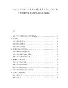2025公路養(yǎng)護行業(yè)橋梁檢測技術(shù)應用現(xiàn)狀評估及養(yǎng)護管理智能化升級規(guī)劃研究分析報告