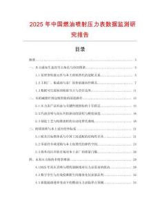 2025年中國燃油噴射壓力表數據監測研究報告