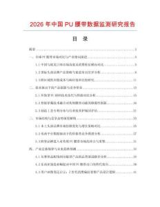2026年中國PU腰帶數據監測研究報告