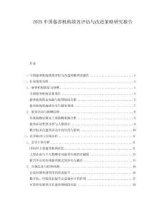 2025中國慈善機構績效評估與改進策略研究報告