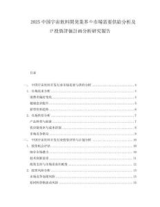 2025中國宇宙飲料開発業界の市場需要供給分析及び投資評価計畫分析研究報告