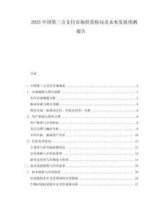 2025中國第三方支付市場供需格局及未來發展預測報告