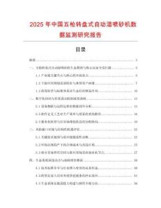 2025年中國(guó)五槍轉(zhuǎn)盤(pán)式自動(dòng)濕噴砂機(jī)數(shù)據(jù)監(jiān)測(cè)研究報(bào)告