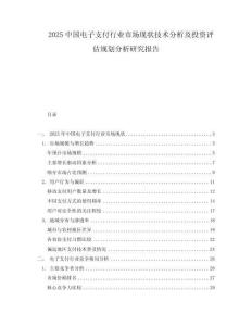 2025中國電子支付行業市場現狀技術分析及投資評估規劃分析研究報告