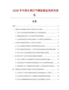 2026年中國長柄打氣嘴數據監測研究報告
