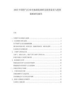 2025中國供氣行業市場深度調研及投資前景與投資策略研究報告