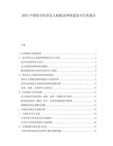 2025中國低空經濟無人機配送網絡建設可行性報告