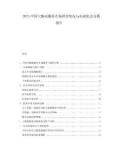 2025中國大數據服務市場供需狀況與商業機會分析報告