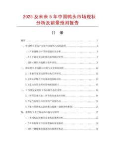 2025及未來5年中國鴨頭市場現狀分析及前景預測報告
