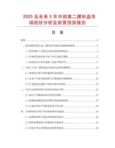 2025及未來5年中國套二腰形盤市場現狀分析及前景預測報告