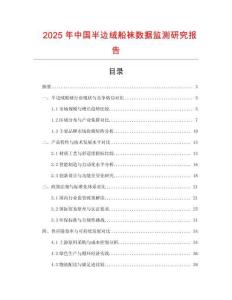 2025年中國半邊絨船襪數據監測研究報告