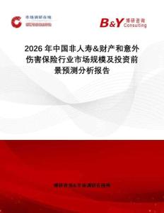 2026年中國非人壽&財產和意外傷害保險行業市場規模及投資前景預測分析報告