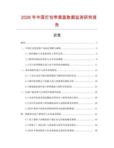 2026年中國打包帶提籃數據監測研究報告