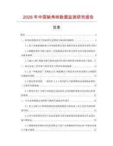 2026年中國缺角磚數據監測研究報告