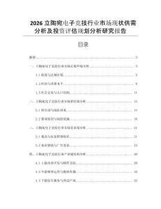 2026立陶宛電子競技行業市場現狀供需分析及投資評估規劃分析研究報告