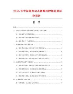 2025年中國超寬動態攝像機數據監測研究報告