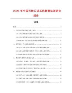 2025年中國無線公話系統數據監測研究報告
