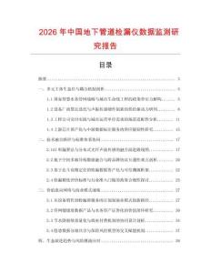 2026年中國(guó)地下管道檢漏儀數(shù)據(jù)監(jiān)測(cè)研究報(bào)告