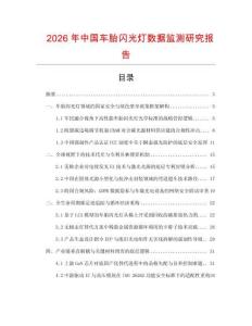 2026年中國車胎閃光燈數據監測研究報告