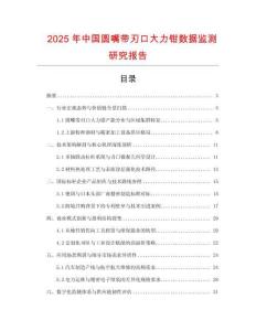 2025年中國圓嘴帶刃口大力鉗數據監測研究報告