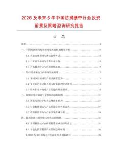2026及未來5年中國防滑腰帶行業投資前景及策略咨詢研究報告
