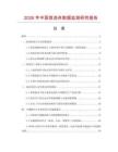 2026年中國急流舟數據監測研究報告