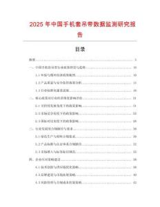 2025年中國手機套吊帶數據監測研究報告