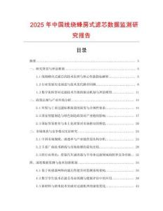 2025年中國線繞蜂房式濾芯數據監測研究報告