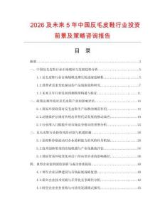 2026及未來5年中國反毛皮鞋行業投資前景及策略咨詢報告