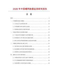 2026年中國帽網(wǎng)數(shù)據(jù)監(jiān)測研究報告