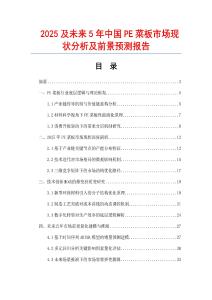 2025及未來5年中國PE菜板市場現狀分析及前景預測報告