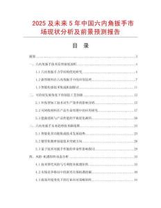 2025及未來5年中國六內角扳手市場現狀分析及前景預測報告