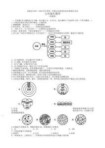 安徽省蕪湖市南陵縣2025-2026學(xué)年度七年級上學(xué)期期末考試生物學(xué)試題（含答案）