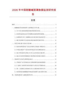 2026年中国耐酸碱面罩数据监测研究报告