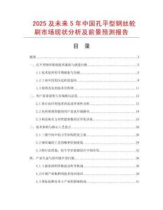 2025及未來5年中國孔平型鋼絲輪刷市場現狀分析及前景預測報告