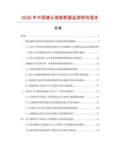 2026年中國豬頭拖鞋數(shù)據(jù)監(jiān)測研究報告