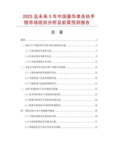 2025及未來5年中國豪華單舌執(zhí)手鎖市場現(xiàn)狀分析及前景預(yù)測報告