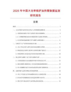 2025年中國(guó)大功率鍋爐加熱管數(shù)據(jù)監(jiān)測(cè)研究報(bào)告