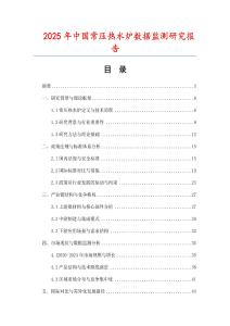 2025年中國常壓熱水爐數據監測研究報告