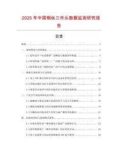 2025年中國鋼絲三件頭數據監測研究報告